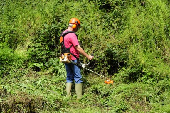 travaux de jardinage